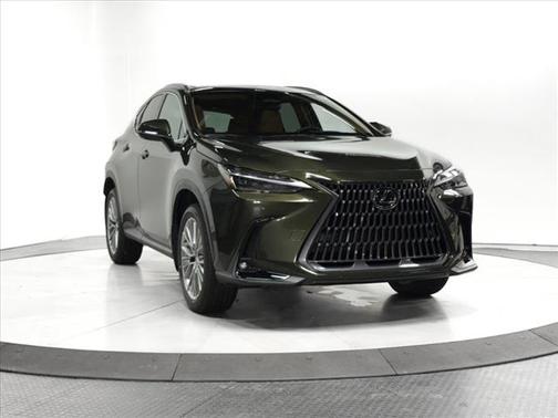 2025 Lexus NX 350 Luxury