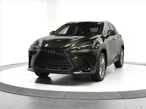 2025 Lexus NX 350 Luxury