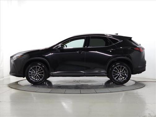 2025 Lexus NX 350h Base