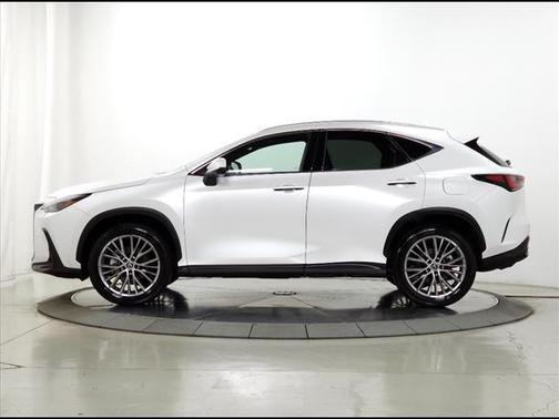 2025 Lexus NX 350h Premium