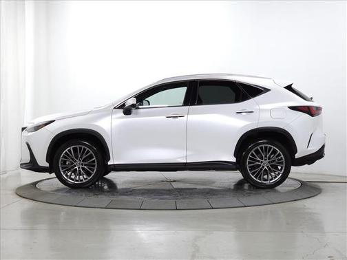 2022 Lexus NX 350h Luxury