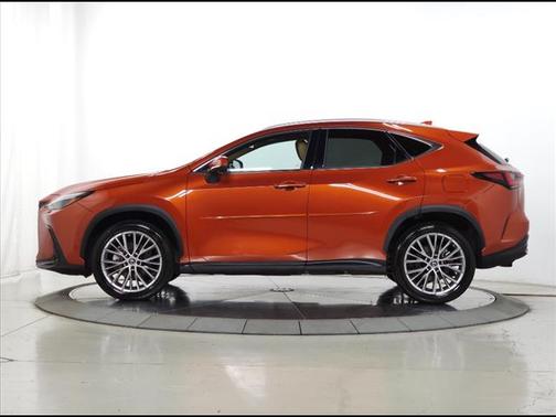 2023 Lexus NX 350h Luxury