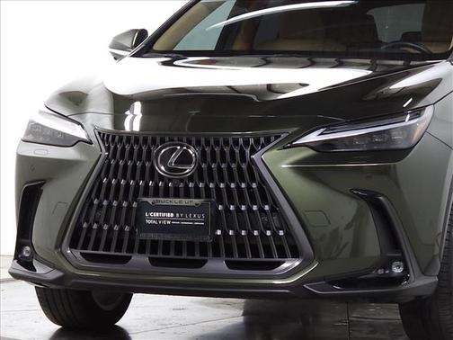 2024 Lexus NX 450h+ Luxury