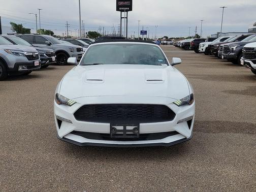 Oxford White 2019 Ford Mustang EcoBoost