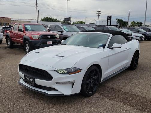 Oxford White 2019 Ford Mustang EcoBoost