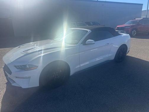 Oxford White 2019 Ford Mustang EcoBoost