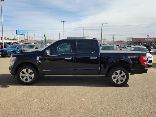 2021 Ford F-150 Platinum