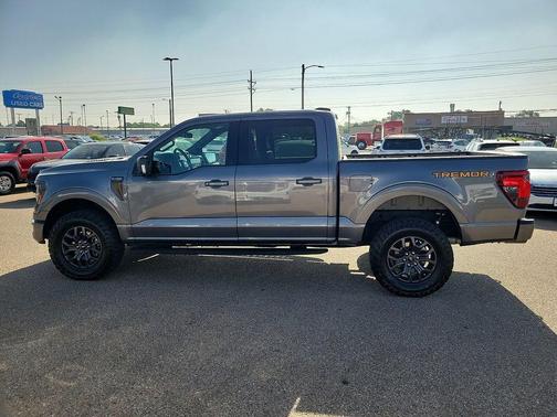 Gray Metallic 2025 Ford F-150 Tremor