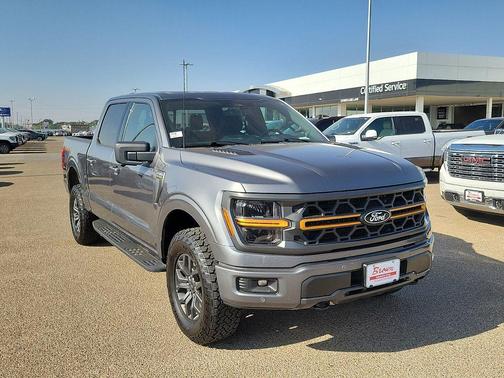 Gray Metallic 2025 Ford F-150 Tremor