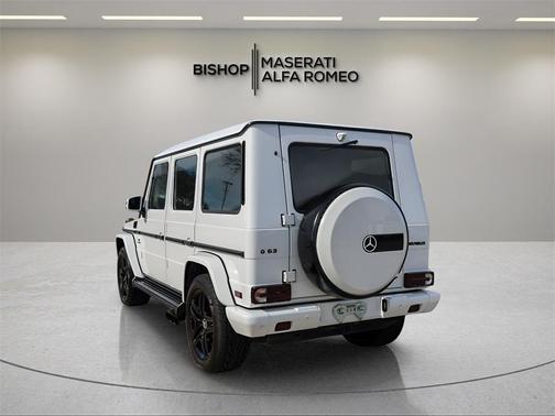 2015 Mercedes-Benz G-Class G 63 AMG