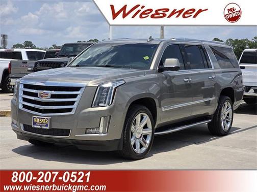 2019 Cadillac Escalade ESV Luxury