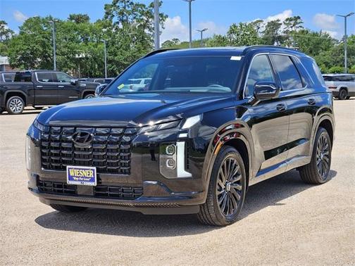 2025 Hyundai PALISADE Calligraphy Night Edition
