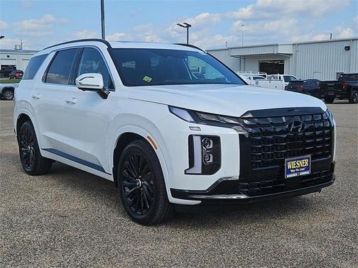 2025 Hyundai PALISADE Calligraphy Night Edition