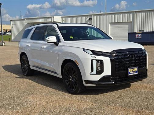 2025 Hyundai PALISADE Calligraphy Night Edition