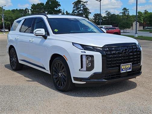 2025 Hyundai PALISADE Calligraphy Night Edition