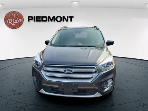 Magnetic 2019 Ford Escape SEL