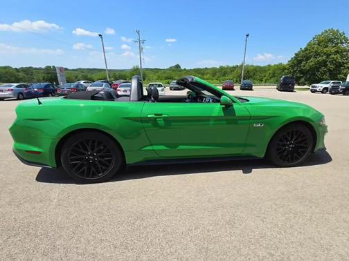 Need for Green 2019 Ford Mustang GT Premium
