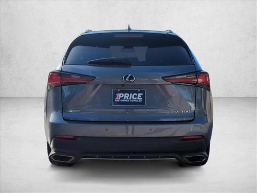 Nebula Gray Pearl 2020 Lexus NX 300 F Sport