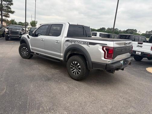 Ingot Silver 2019 Ford F-150 Raptor