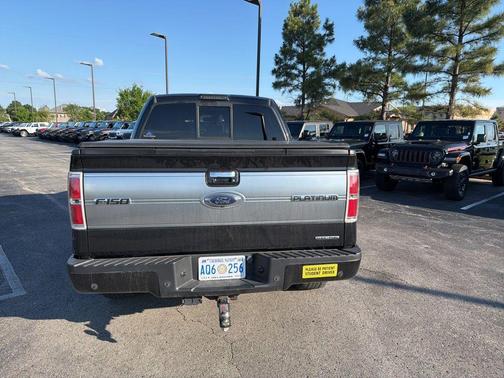 Tuxedo Black Metallic 2014 Ford F-150 Platinum