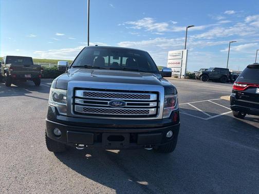 Tuxedo Black Metallic 2014 Ford F-150 Platinum
