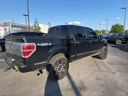 Tuxedo Black Metallic 2014 Ford F-150 Platinum