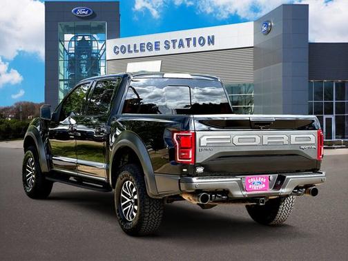 AGATE BLACK 2019 Ford F-150 RAPTOR