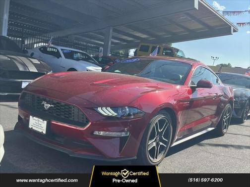 2019 Ford Mustang EcoBoost