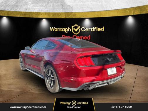 2019 Ford Mustang EcoBoost