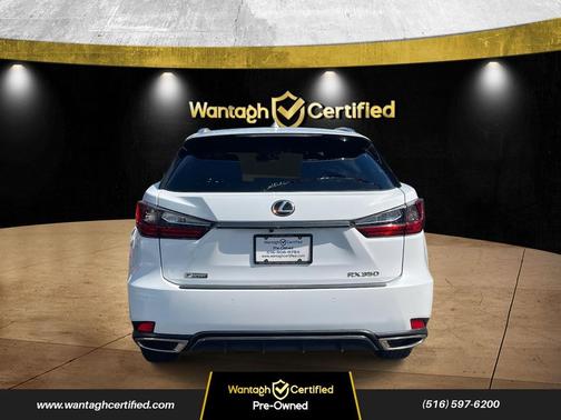 2022 Lexus RX 350 F SPORT Appearance