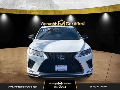 2022 Lexus RX 350 F SPORT Appearance