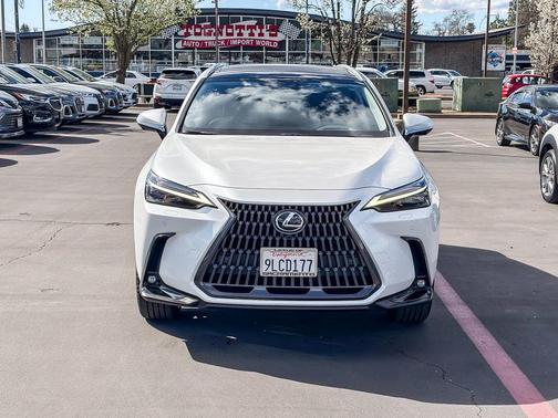 2024 Lexus NX 350h Luxury