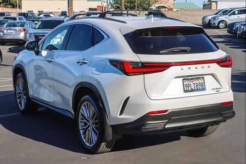 2025 Lexus NX 350h Premium