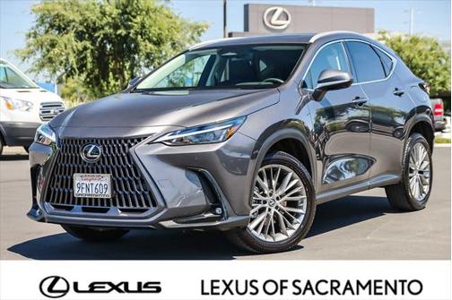 2023 Lexus NX 350 Luxury