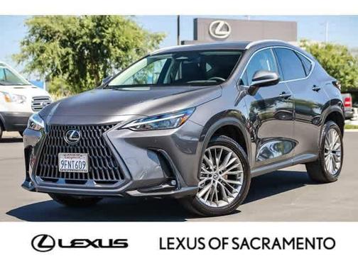 2023 Lexus NX 350 Luxury