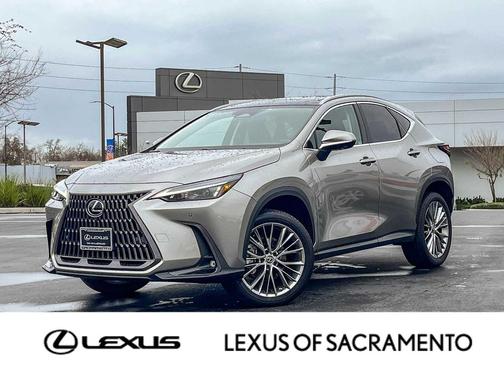 2023 Lexus NX 350 Luxury
