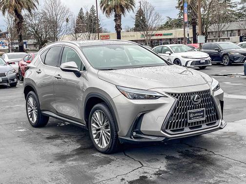 2023 Lexus NX 350 Luxury