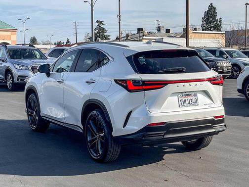 2024 Lexus NX 450h+ Luxury