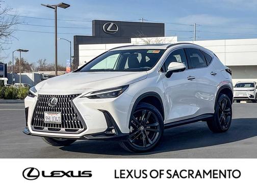 2024 Lexus NX 450h+ Luxury