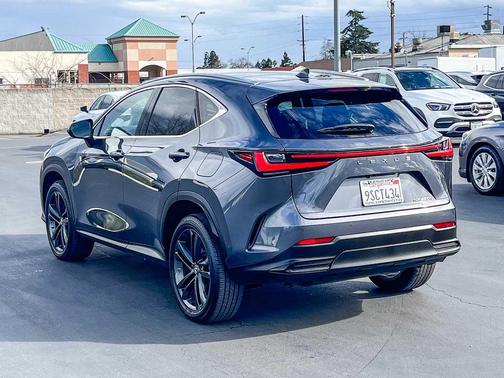 2025 Lexus NX 450h+ Luxury