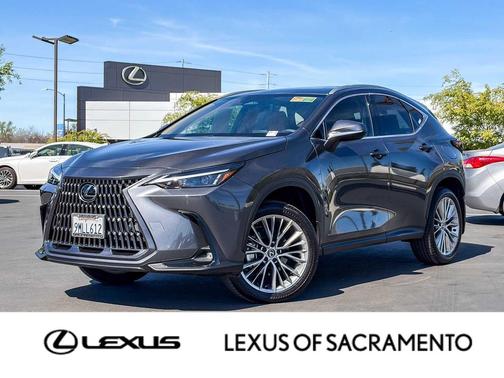 2025 Lexus NX 350h Premium