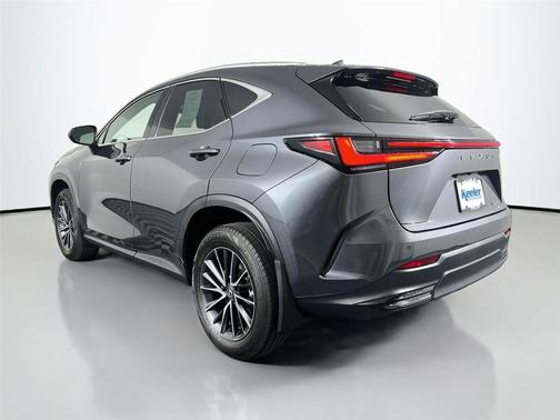 Cloudburst Gray 2023 Lexus NX 350 Premium