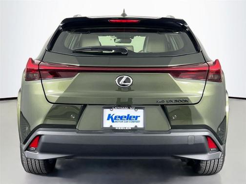 2025 Lexus UX 300h Premium