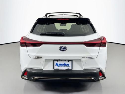 2019 Lexus UX 250h F Sport
