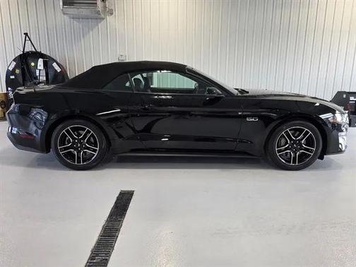 Shadow Black 2019 Ford Mustang GT Premium