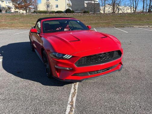 2019 Ford Mustang EcoBoost Premium