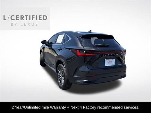 2025 Lexus NX 250 Premium