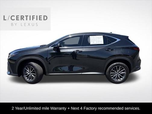 2025 Lexus NX 250 Premium