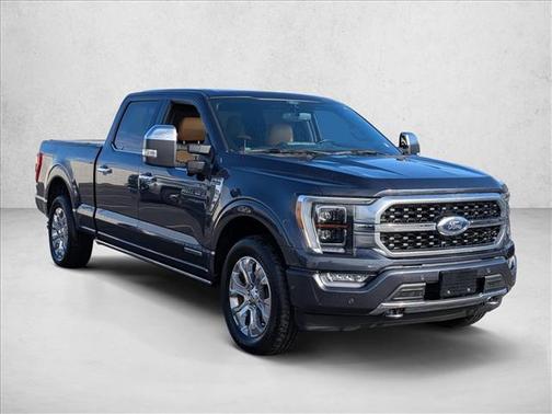 2021 Ford F-150 Platinum