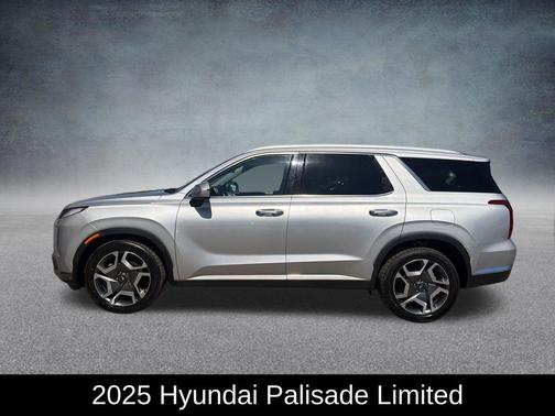 Typhoon Silver 2025 Hyundai PALISADE Limited